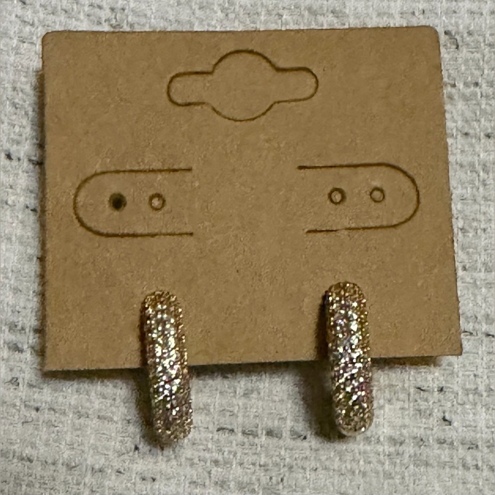 ✨New✨ House of Harlow: Earrings